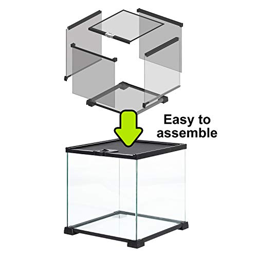 REPTIZOO Small Glass Tank 8 Gallon (12"W X 12"D X 12"H (8 Gallon))