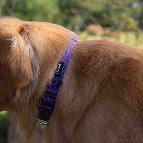 Martingale Dog Collar (Small / Ultra violet)