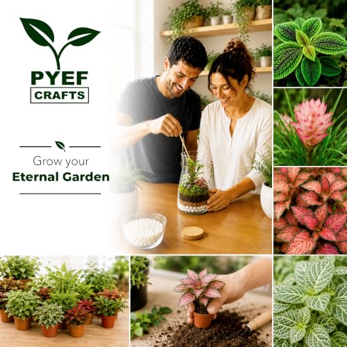 Terrarium Kit for Plants DIY (1 Gallon)