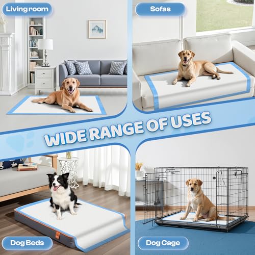 XXL Thicken 6 Layers Heavy Absorbent 30"x36" Pet Training Dog Pee Pads (Regular - 30"x36")