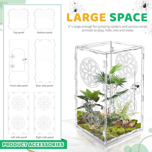 Large Jumping Spider Enclosure (transparent / 11.8*6)