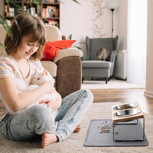 Stainless Steel Raised Cat Food Bowl for 2 Bowls