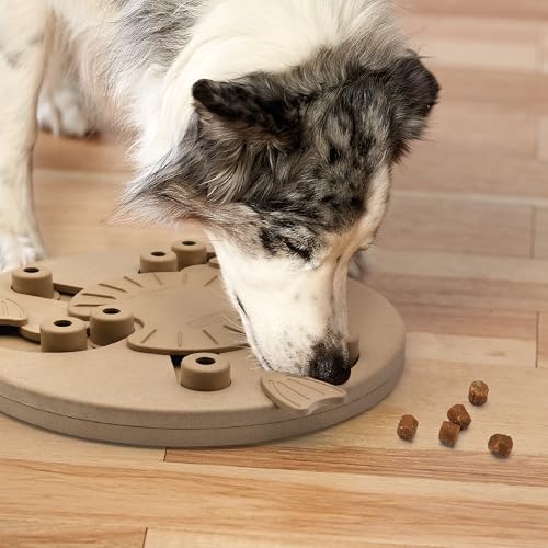 by Nina Ottosson Dog Worker Treat Puzzle Enrichment Toy