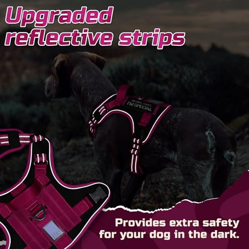 Tactical Dog Harness for Large (Black & Rose Red / Large)