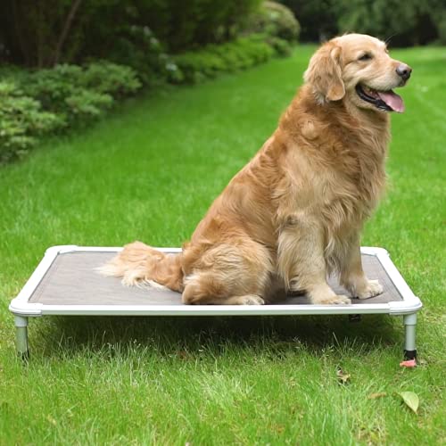 Chew Proof Elevated Dog Bed (Beige Coffee / 42.0"L x 30.0"W x 7.0"Th)