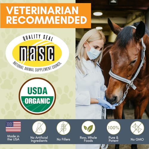 Horse Supplement for Total Body Health