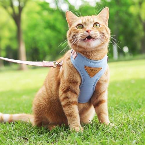 Escape Proof Cat Harness and Leash Set (Blue / S)