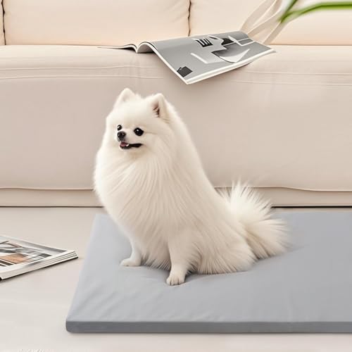 Dog Mat 19"x 30"Dogs Crate Pad (30"L x 19"W / Gray)