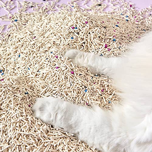 Mixed Tofu Cat Litter (12 Pack)