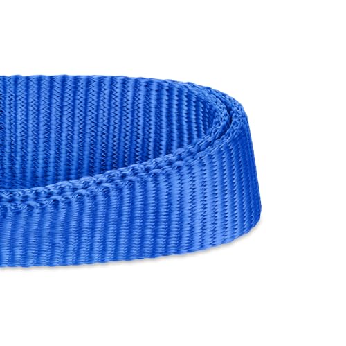 Blue Dog Collar for Large Dogs (Large / Bright Blue)