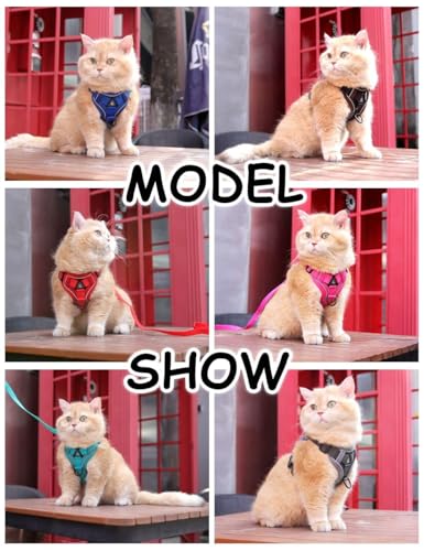Cat Harness and Leash Set (Gray / S)