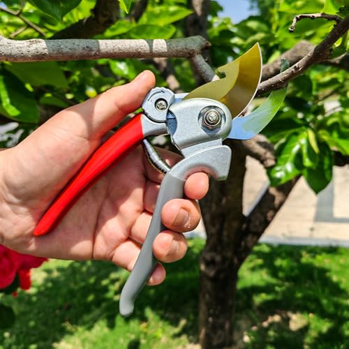 Ultra Sharp Germany Titanium Steel Pruning Shears (Black/Gold)