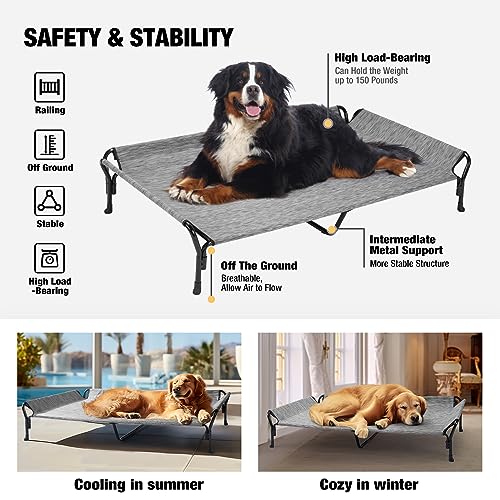Cooling Elevated Dog Bed (Black Silver / 62.5"L x 37.0"W x 12.0"Th)