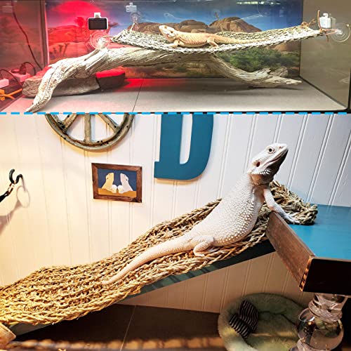 Bearded Dragon Large Hammock