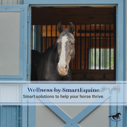 Fly Mask with UV Protection (Cob)