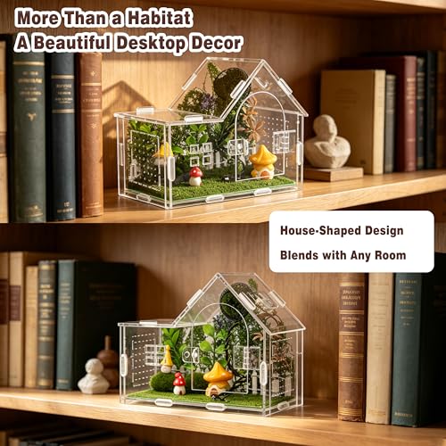 Acrylic Jumping Spider Enclosure Kit 19PCS with Decor (Green - Gothic style)