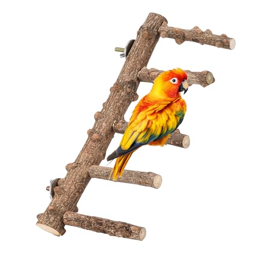 Bird Ladder Perch for Cage Natural Wood Bird Parrot Perch Stand Chewing Toy