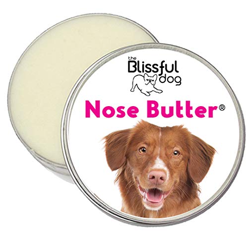 Nova Scotia Duck Tolling Retriever Unscented Nose Butter (Nova Scotia Duck Tolling Retriever / 1 Ounce)