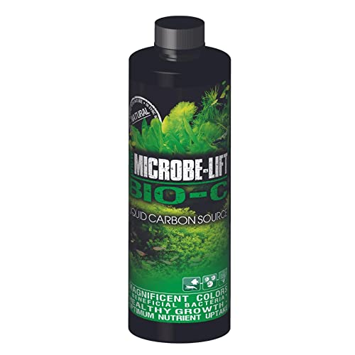 Bloom and Grow Bio