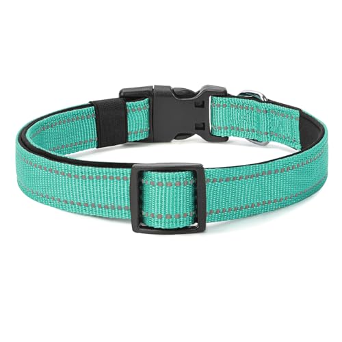 Reflective Dog Collar (Teal / S:width 5/8"neck 10.5-16")