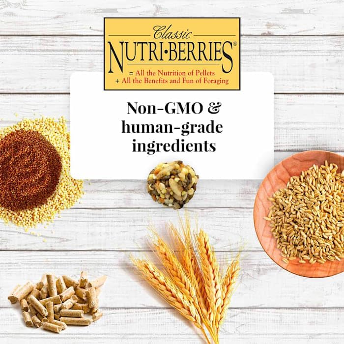 Classic Nutri (4 Pound (Pack of 1))