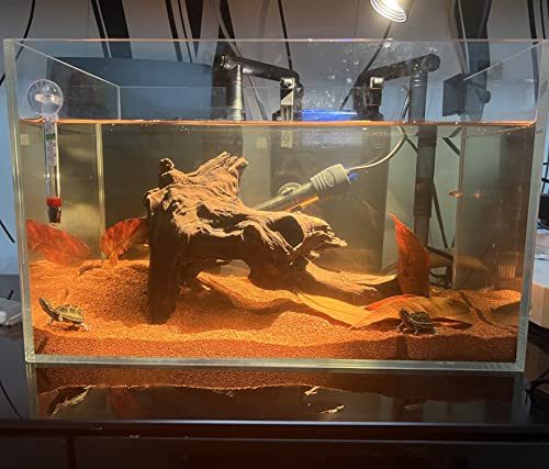 11lb Natural South American Rainforest Sand