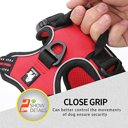Truelove No Pull Dog Harness with Easy Control Handle and 2 Leash Attachments (Large / Red)