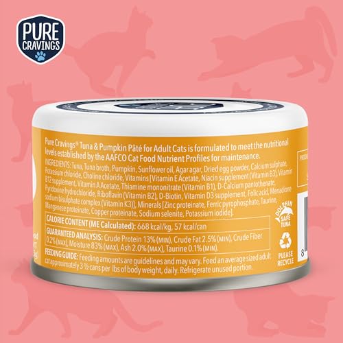 Tuna and Pumpkin Pate