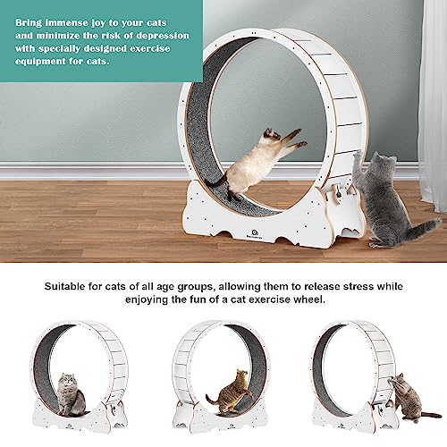 Cat Wheel 53" XXL Large Exercise Running Wheels with Detachable Carpet for Indoor Cats (White / XXL)
