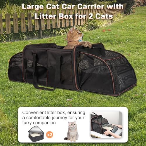Double Cat Carrier for 2 Cats (Black)