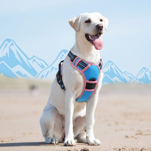 Dog Harness for Large Dogs (Large / Pink & Sky Blue)