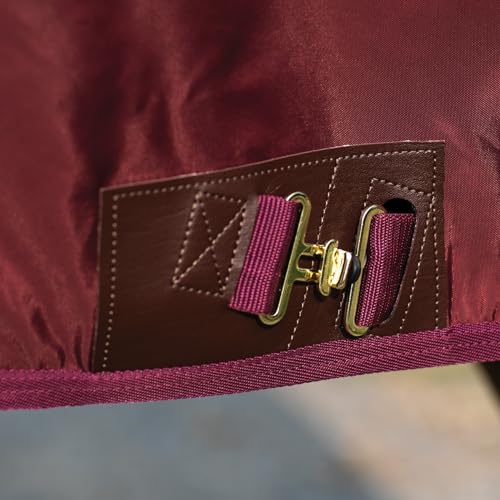 Dura Nylon Horse Stable Sheet (Horse Size 78 / V-Free | Closed Front | Legstrap / Green)