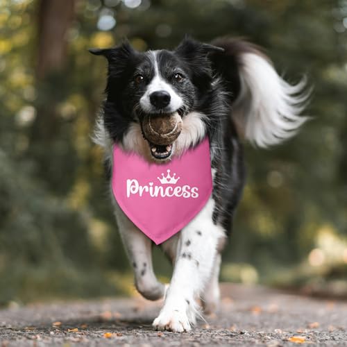 Princess Dog Bandana Dog Birthday Girl Bandana Dogs Pink Funny Gender Reveal Pet Accessories for Pet Lovers Gifts Scarf for Small Medium Dogs & Cats (O)