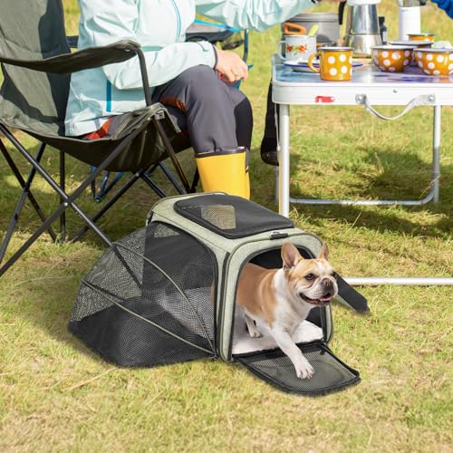 Large Expandable Cat Carrier for Travel (19.0"L x 12.0"W x 12.0"H / Green)