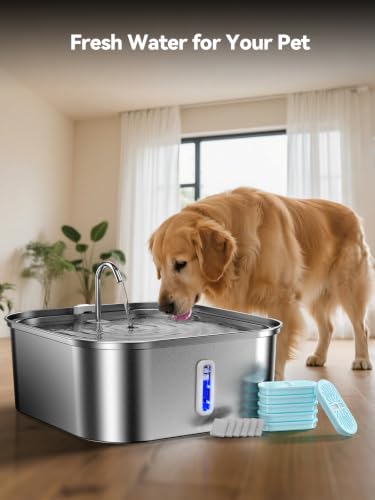 Large Dog Water Fountain 14L