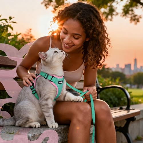 Cat Harness and Leash
