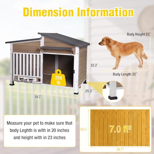 Dog House with Anti