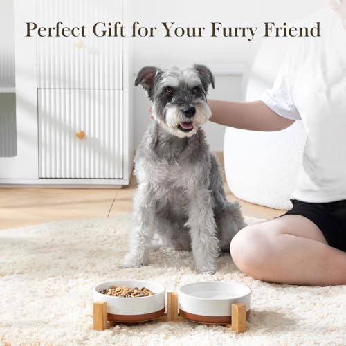 Ceramic Dog Bowls Small Size Dog with Wood Stand (S-1.5 Cups / Vanilla White(2 PCS with Stand))