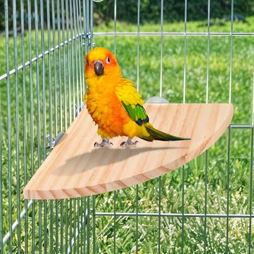 Bird Perch Platform Stand Wooden Parrot Perch Corner 6.7 Inches Fan Shape Playground Cage Accessories Parrot Stand Flat Perches for Bird Cages Corner Shelf for Birds Parrots Hamster Gerbil (17cm x 17cm x 1.2cm)