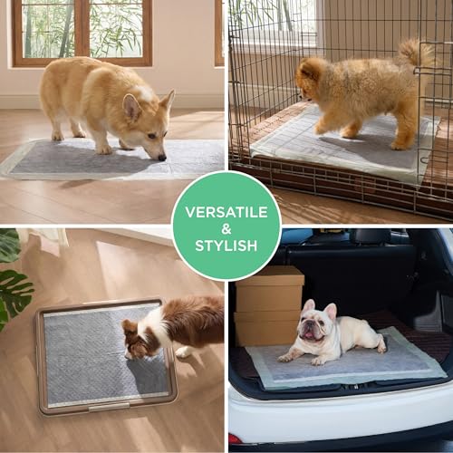 Dog Pee Pads Extra Large (28"x34"-30 Count)