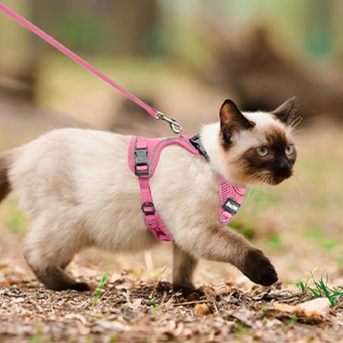 Cat Harness and Leash for Walking (Pink / Medium (13-18lb))
