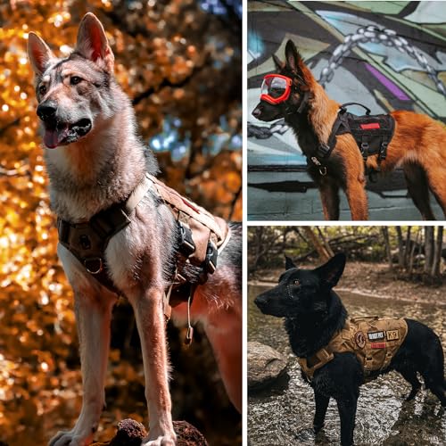 Tactical Dog Harness No Pull for Medium Dogs (Orange / M)