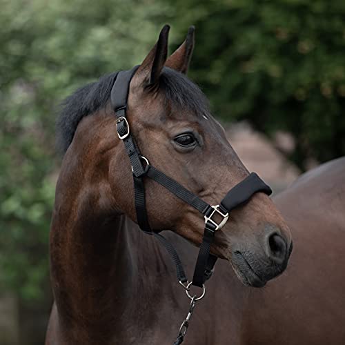 Graz Fleece Padded Halter (Black / Horse)