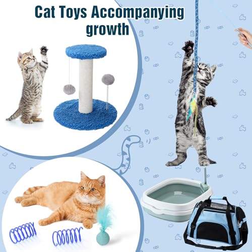 10 Pcs Kitten Starter Kit for Indoor (Classic / Medium / Blue)
