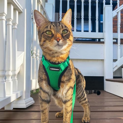 Cat Harness and Leash Set (Xs / Grass Green)