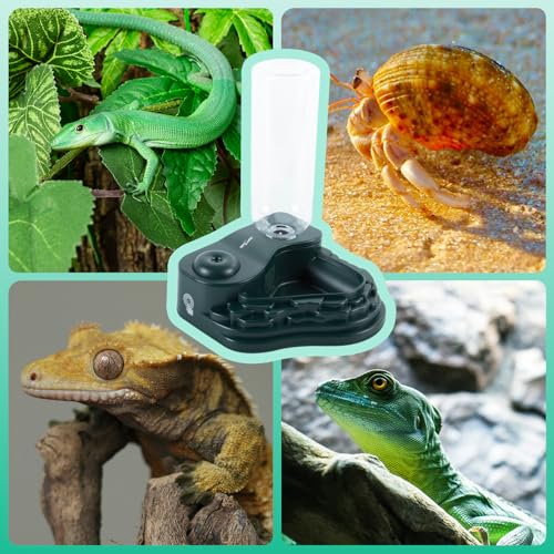 Water Feeder and Fogger