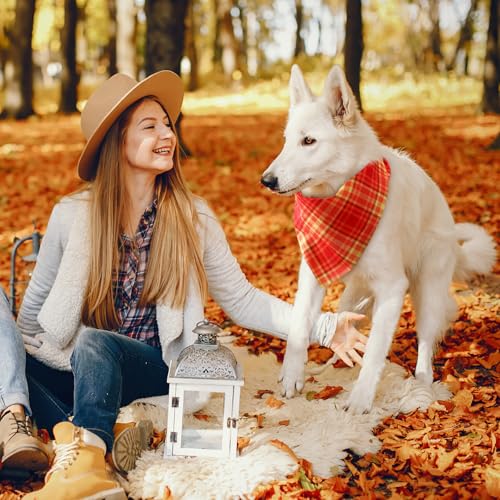 50 Pcs Fall Thanksgiving Plaid Dog Bandanas Bulk for Medium (Plaid Pattern / 25.6 x 17.7 x 17.7 Inch)