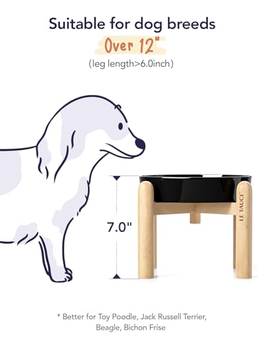 Ceramic Slow Feeder Dog Bowls Elevated (Skull Black+Stand / M-1.5 Cups)