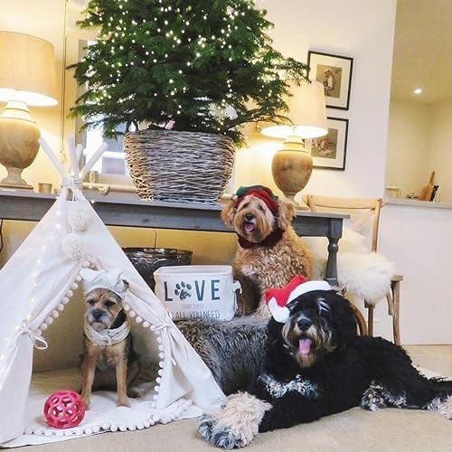 Pet Teepee Bed for Dogs and Cats (Large)