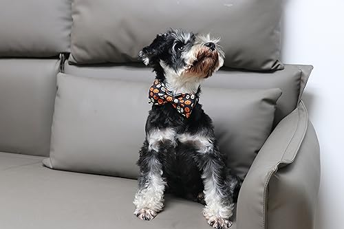 Halloween Dog Bowtie Collar (XX-Small (Pack of 1) / A:Y&W Pumpkin)